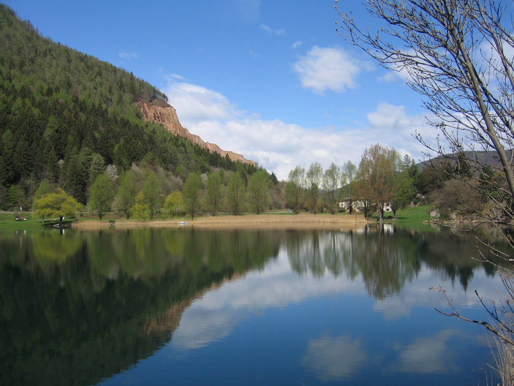 Lago di Lases with reinstated forest